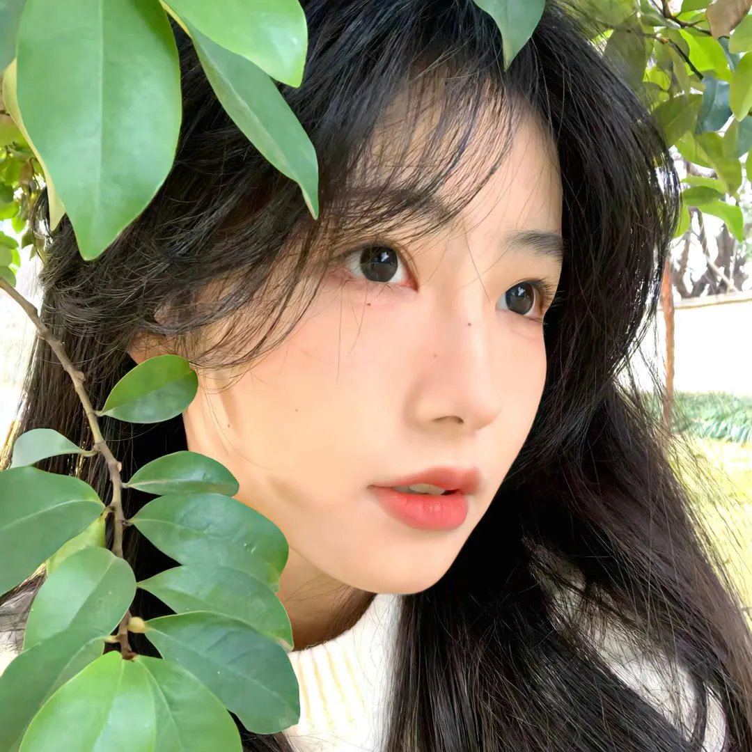 逃出玉米地